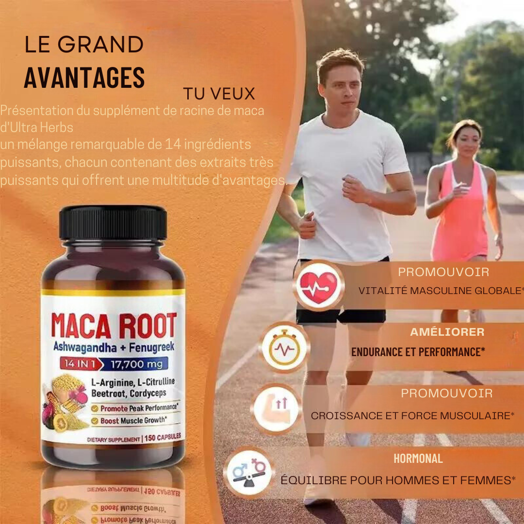 Capsules Maca – Maca Root
