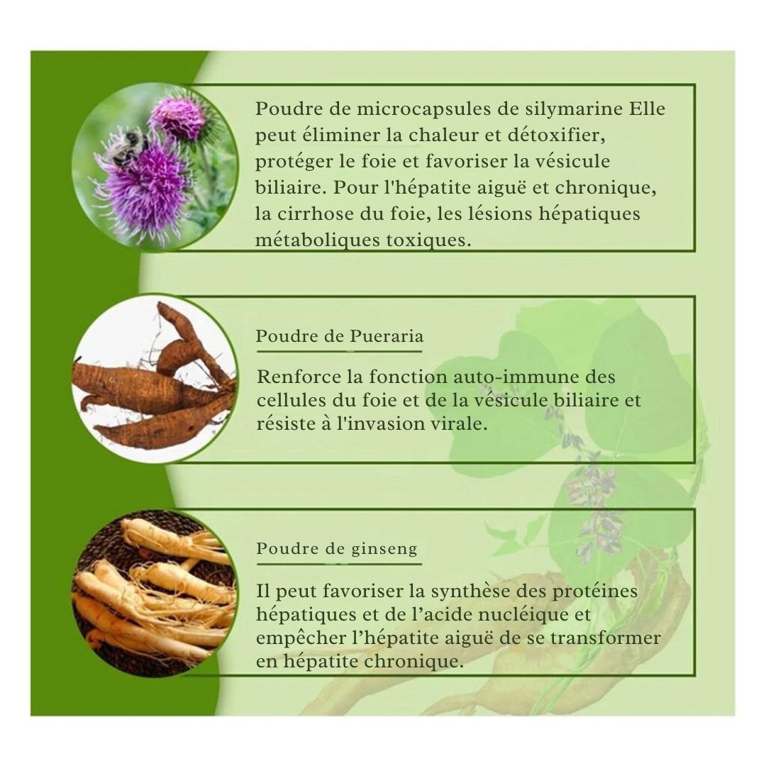 Pilules Silymarin Pueraria pour la Santé du Foie à Base de Plantes