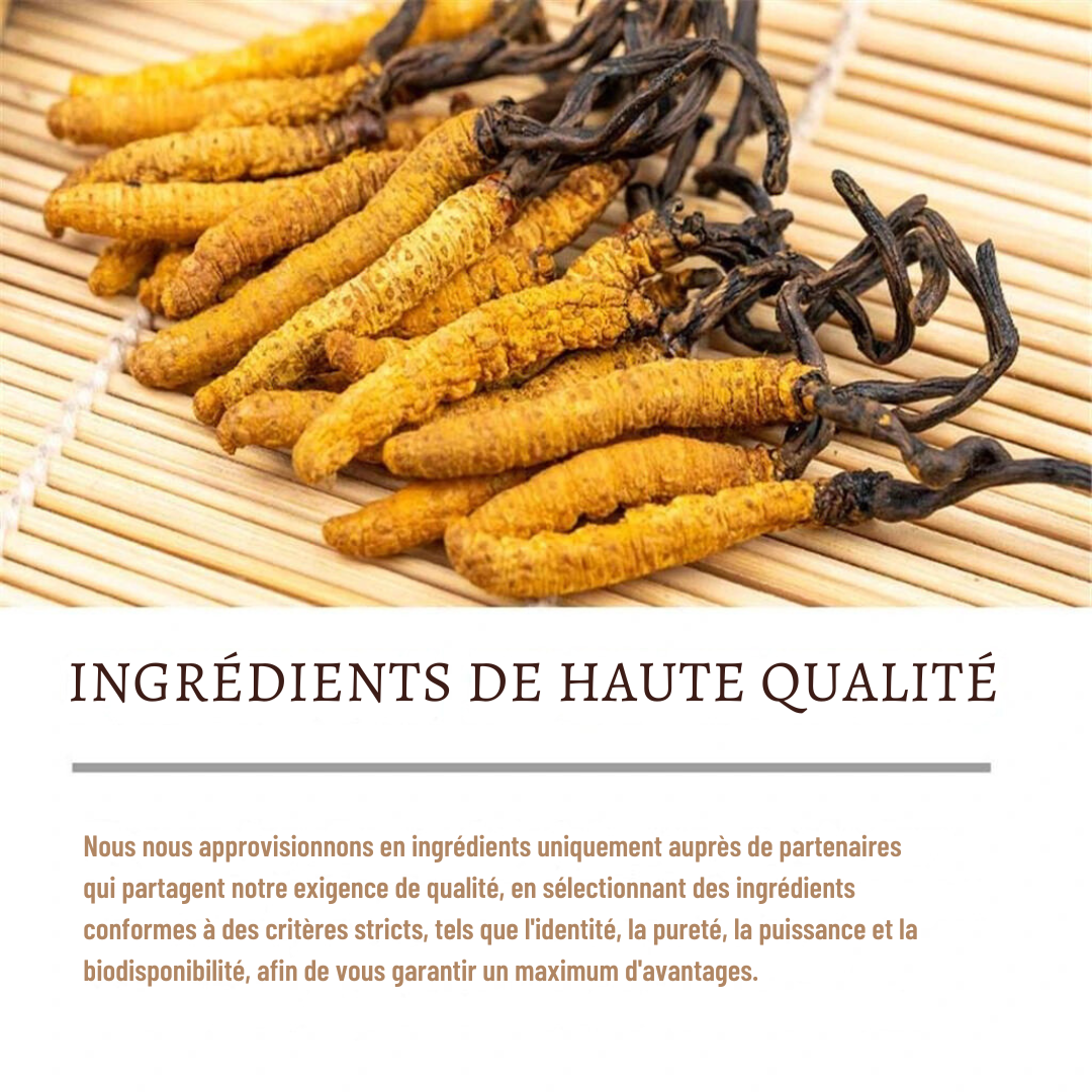 Complément Alimentaire : Tonique Rénal