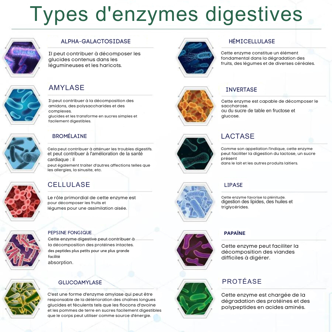 Complement alimentaire : Gummies d'enzymes digestives