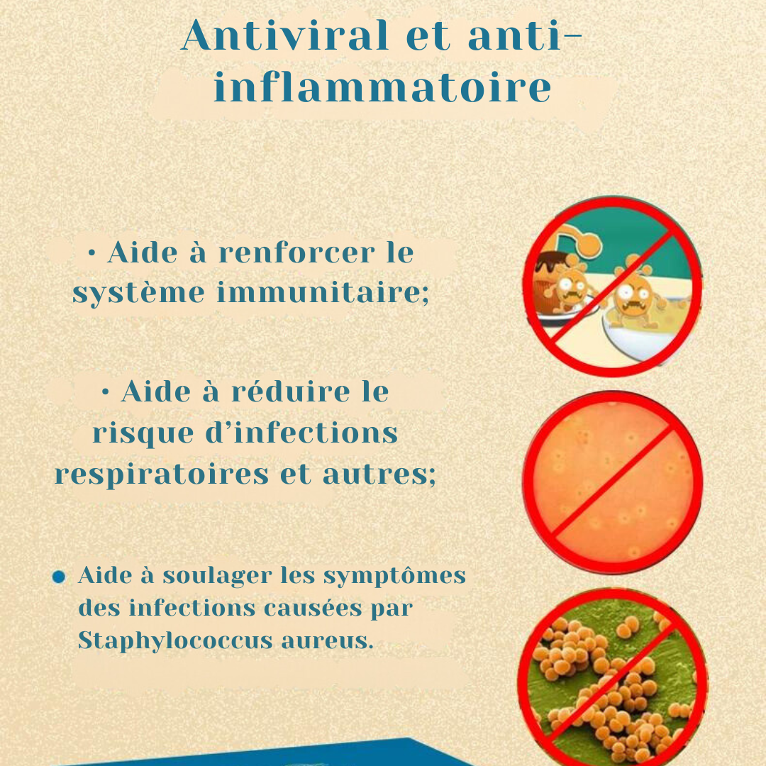 Tisane Chinoise : Thé anti infection homme et femme