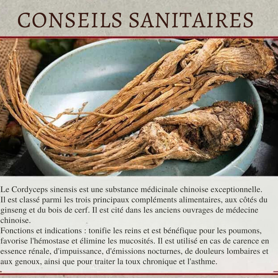 Complément Alimentaire : Tonique Rénal