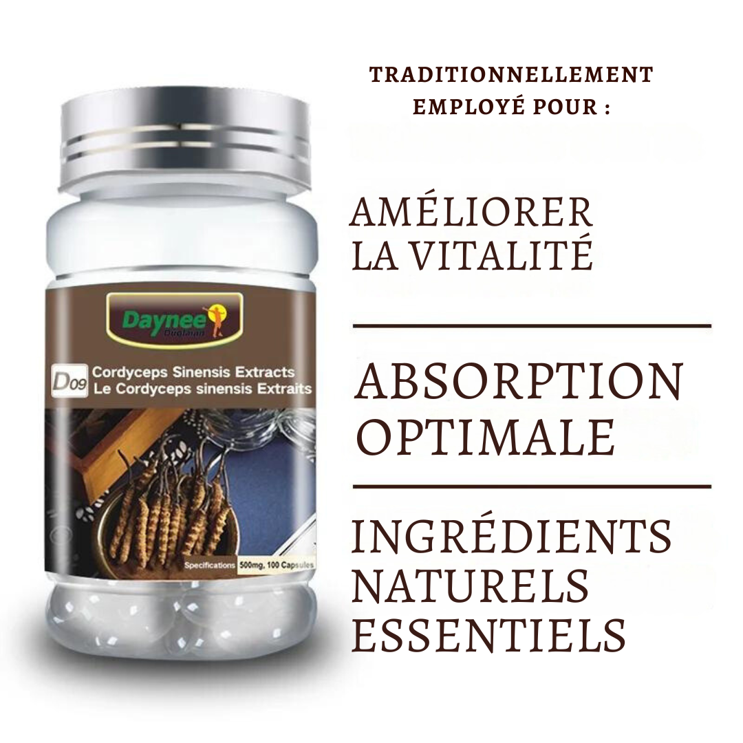 Complément Alimentaire : Tonique Rénal