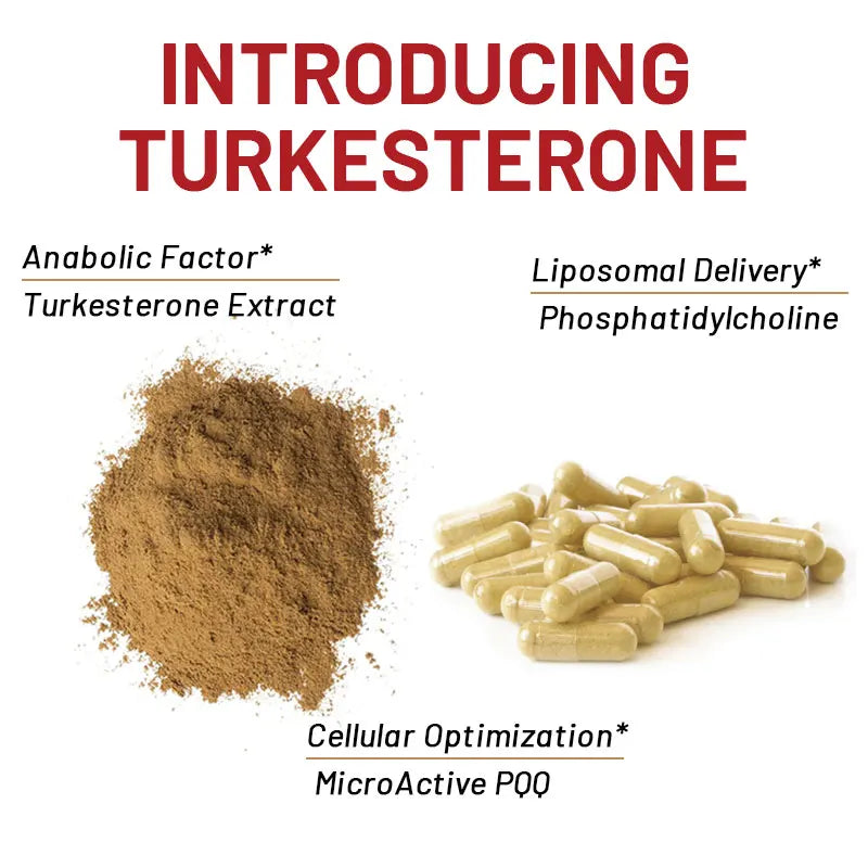 Capsules de Turkestérone – Énergie et Croissance Musculaire