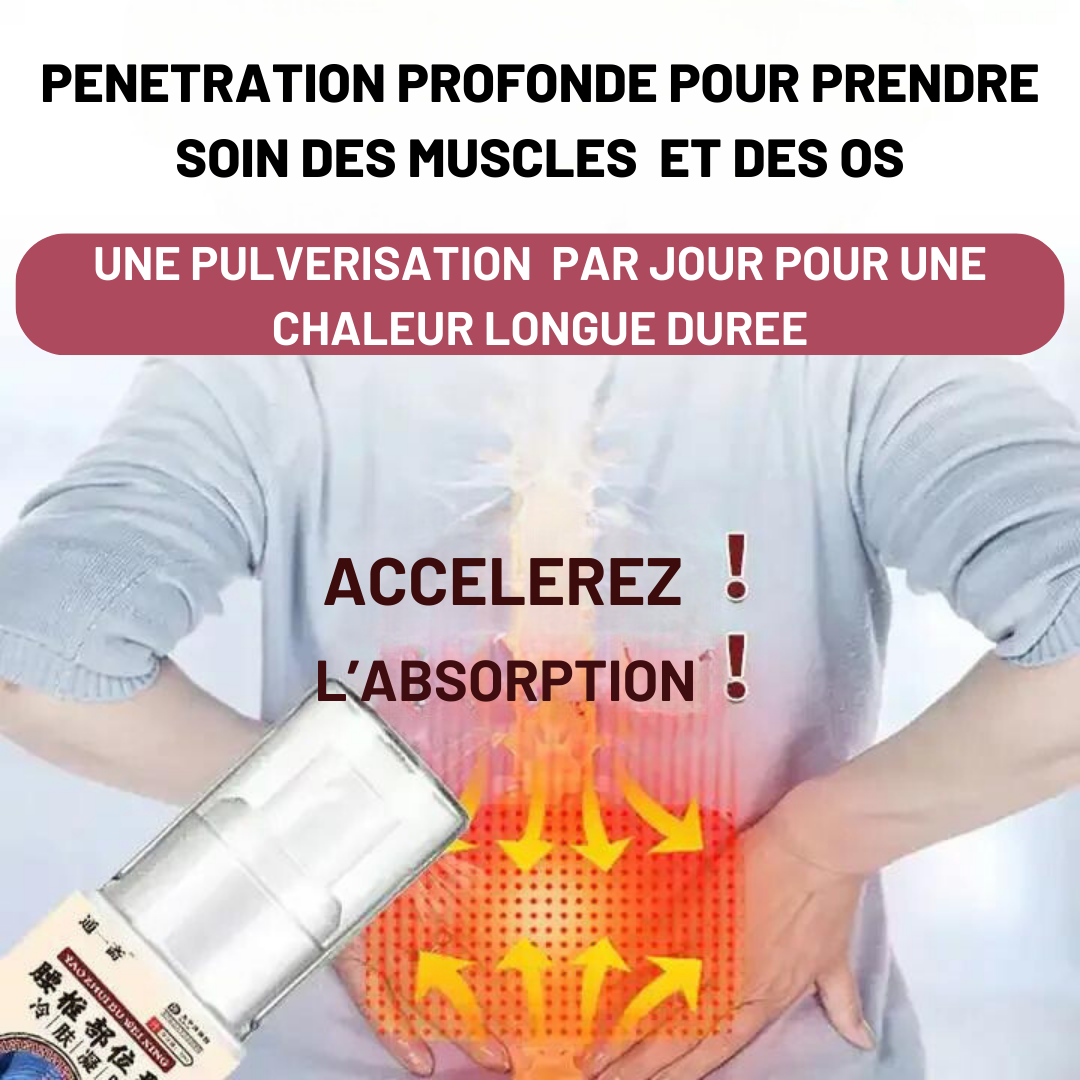 Pack (2 boites )  Spray Chinois pour le Traitement de la Douleur Lombaire