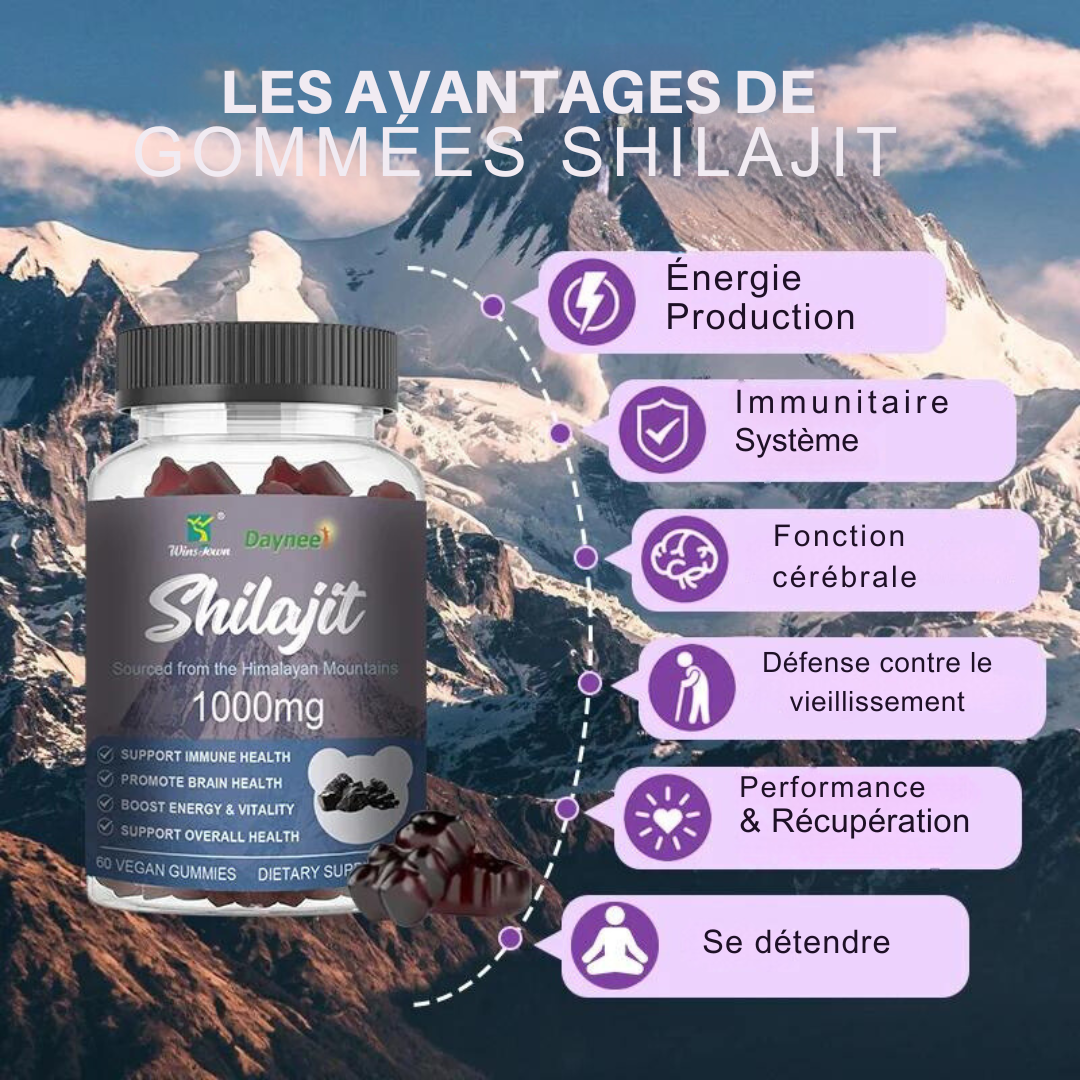 Gummies Shilajit Winstown