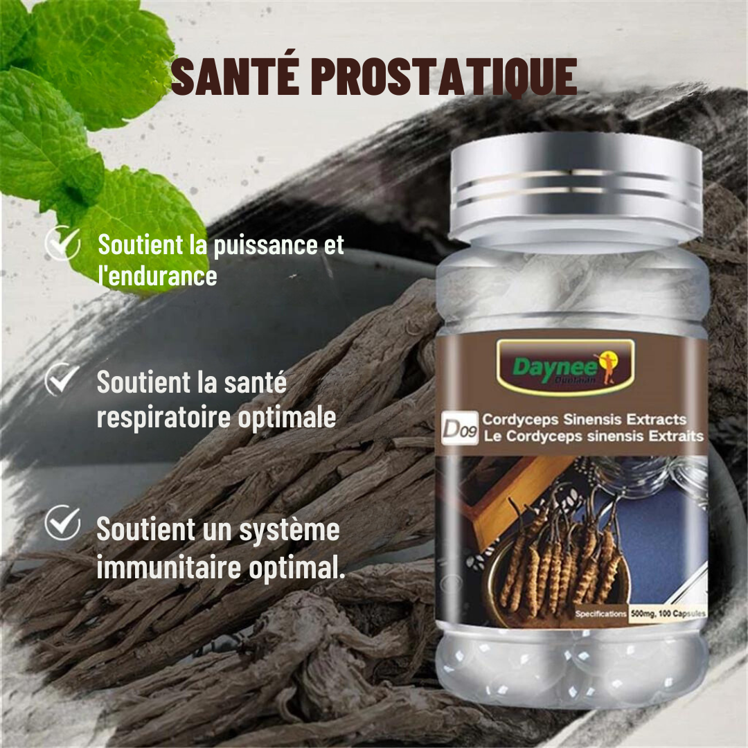 Complément Alimentaire : Tonique Rénal