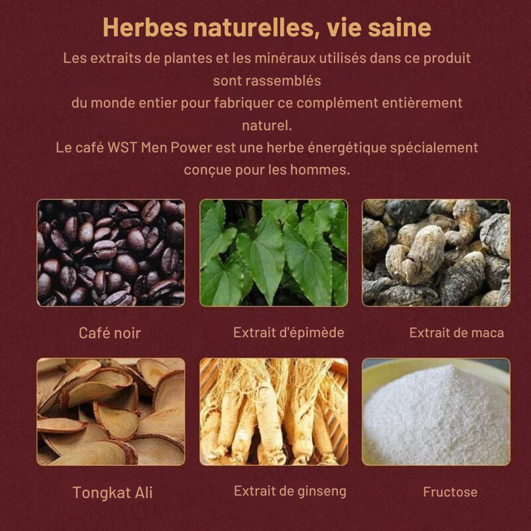 Café Bio Maca Énergétique pour Hommes
