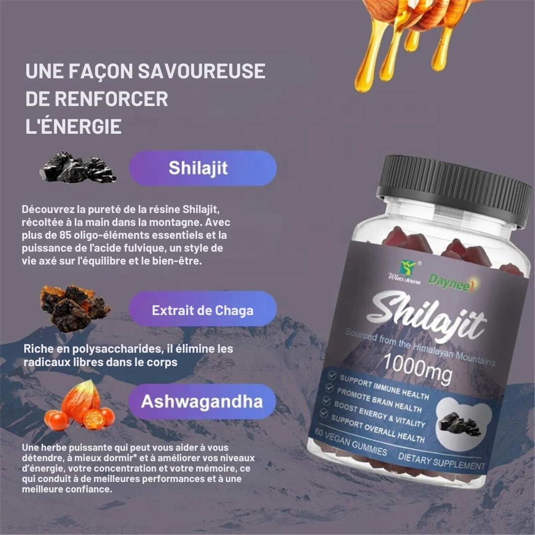 Gummies Shilajit Winstown