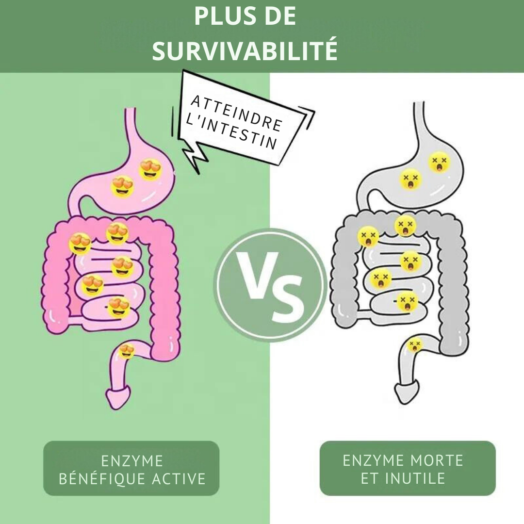 Tisane Chinoise : Thé Poudre d'Enzyme